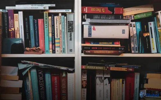 The Rise of Portfolio Careers: Transforming Work Landscapes